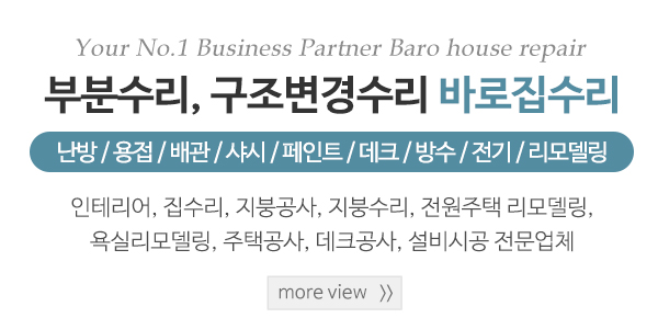 바로집수리_바로집수리_내용